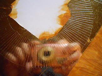 CP August 2010 094 kl