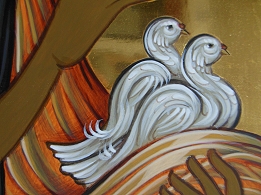 16-4 Tauben drittes kl