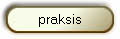 praksis